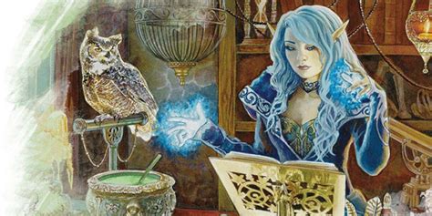 Stepping into the Elemental Realm: A Sorcerer's Adventure